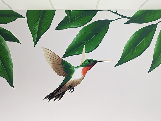 Street-art colibri, monstera deliciosa, feuilles de palmier à Tours (37)